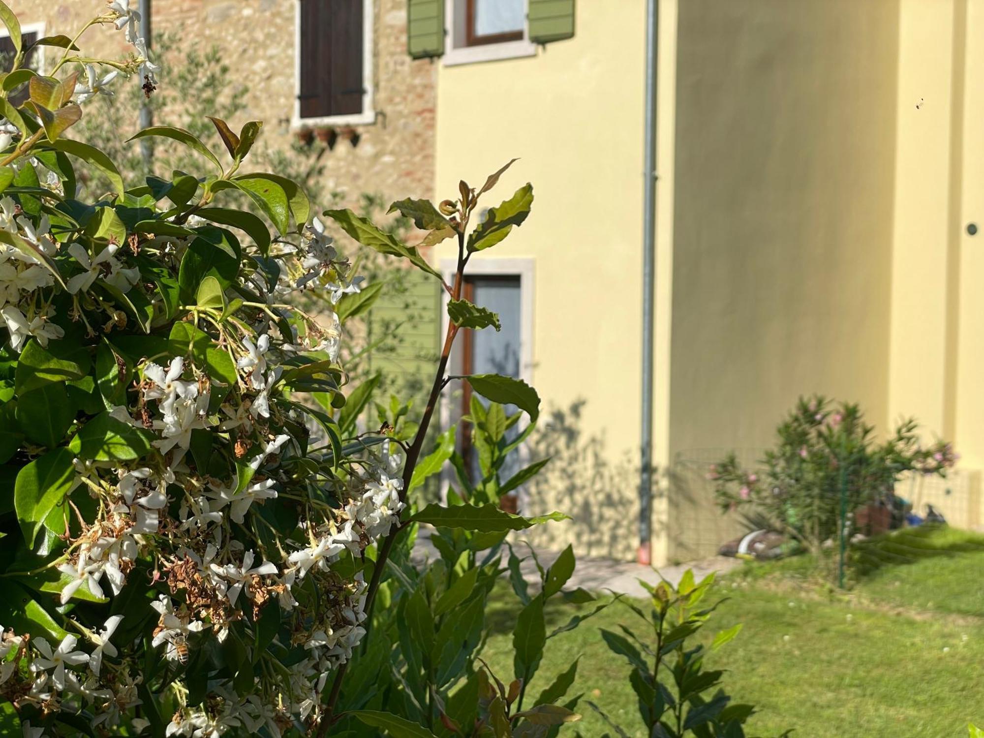 Casa Carlotte - Lago Di Garda Lazise Exterior photo